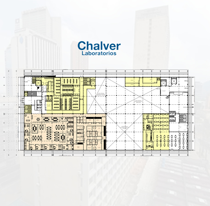 Pórticos de acero y cimentación en pilotes para el proyecto del Laboratorio Chalver